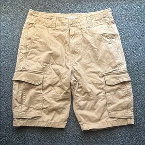 Men's Tan Goodfellow 30 Cargo Shorts